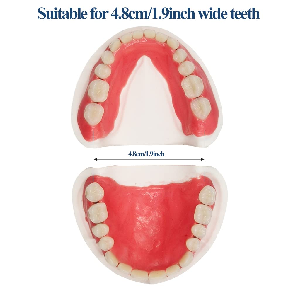 Full Set of Top and Bottom Fake Teeth J9446