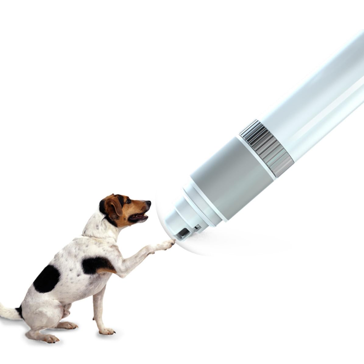Electric Pet Nail Grinder with Adjustable Speed White Q762689