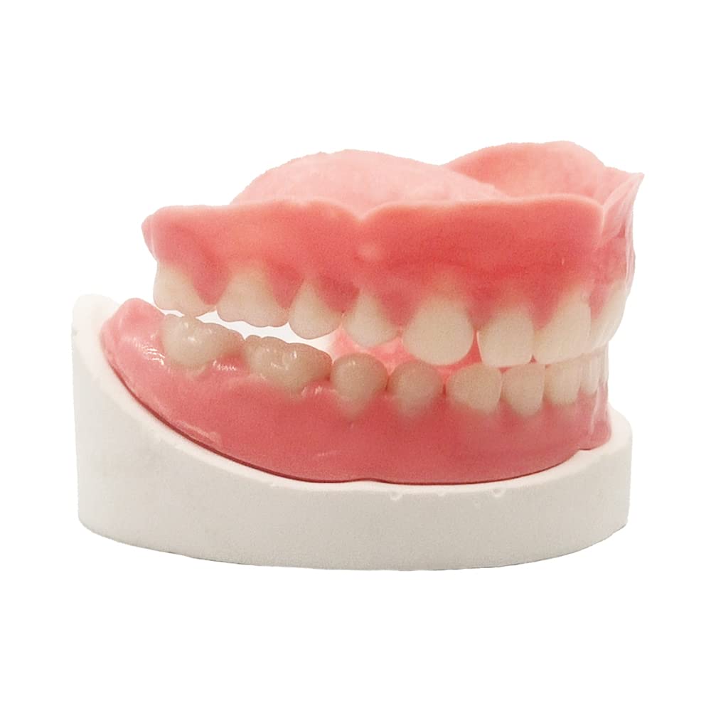 Full Set of Top and Bottom Fake Teeth J9446