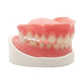 Full Set of Top and Bottom Fake Teeth J9446