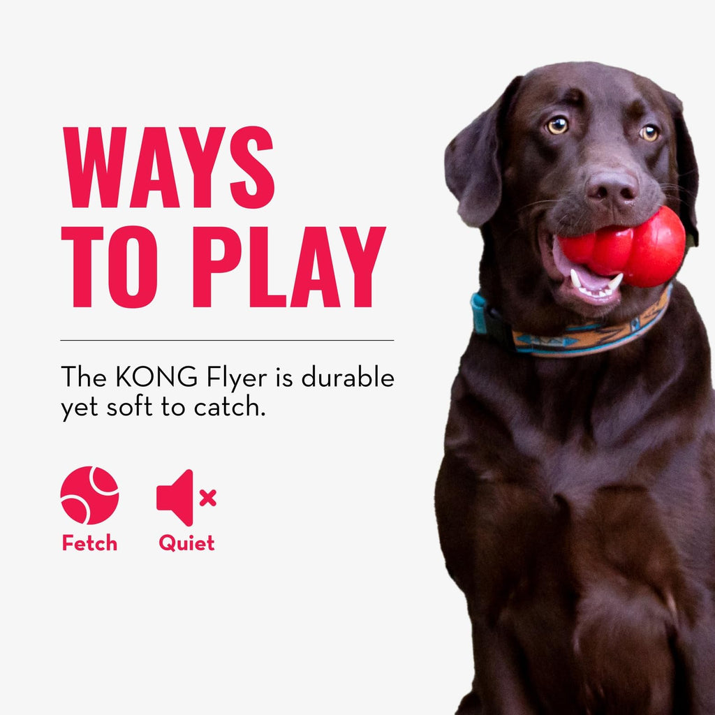 Natural Rubber Flying Disc Fetch Toy A700467