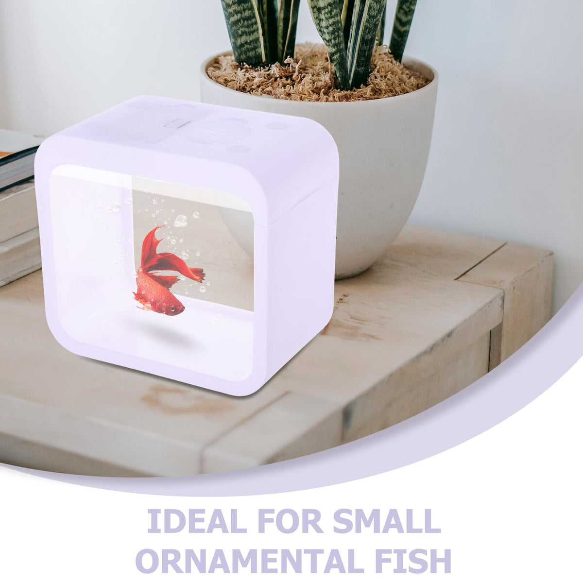 Betta Fish Tank Desktop Aquarium with LED Light Y939