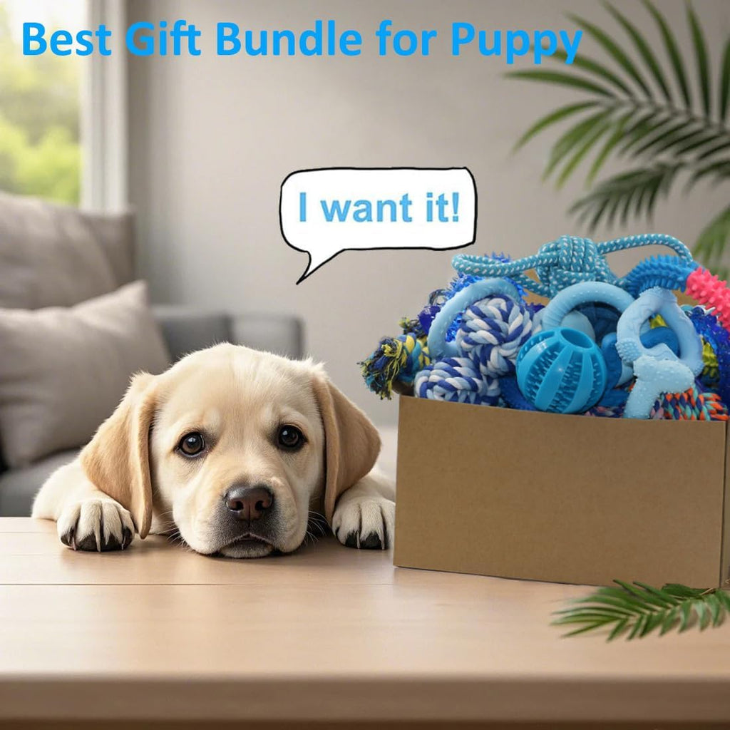 20 Pack Puppy Chew Toys A89218