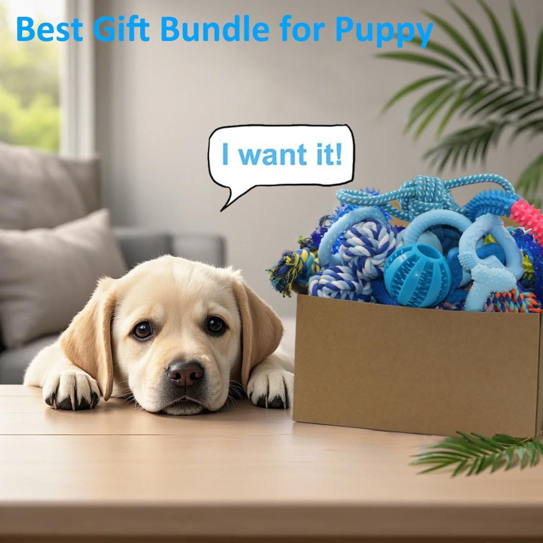 20 Pack Puppy Chew Toys A89218