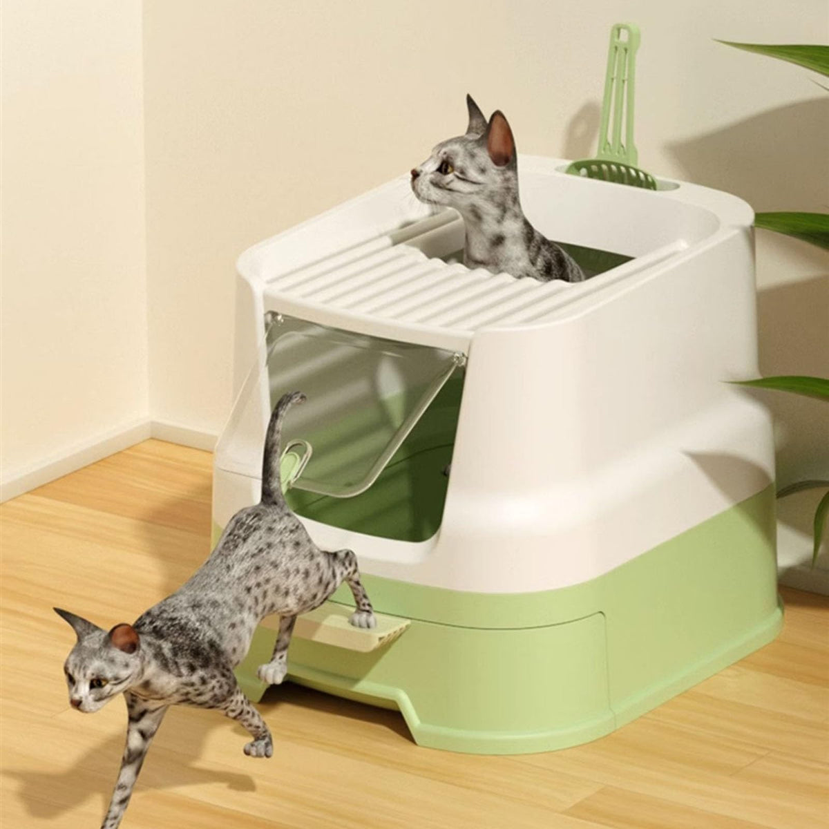 Large Top Entry Cat Litter Box with Lid and Scoop P905