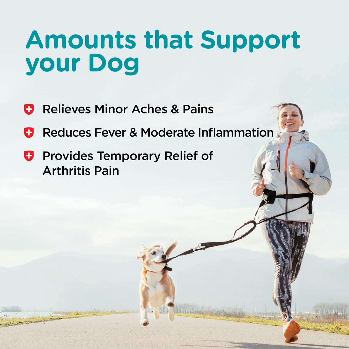 Dog Aspirin 120mg 100 Count N224