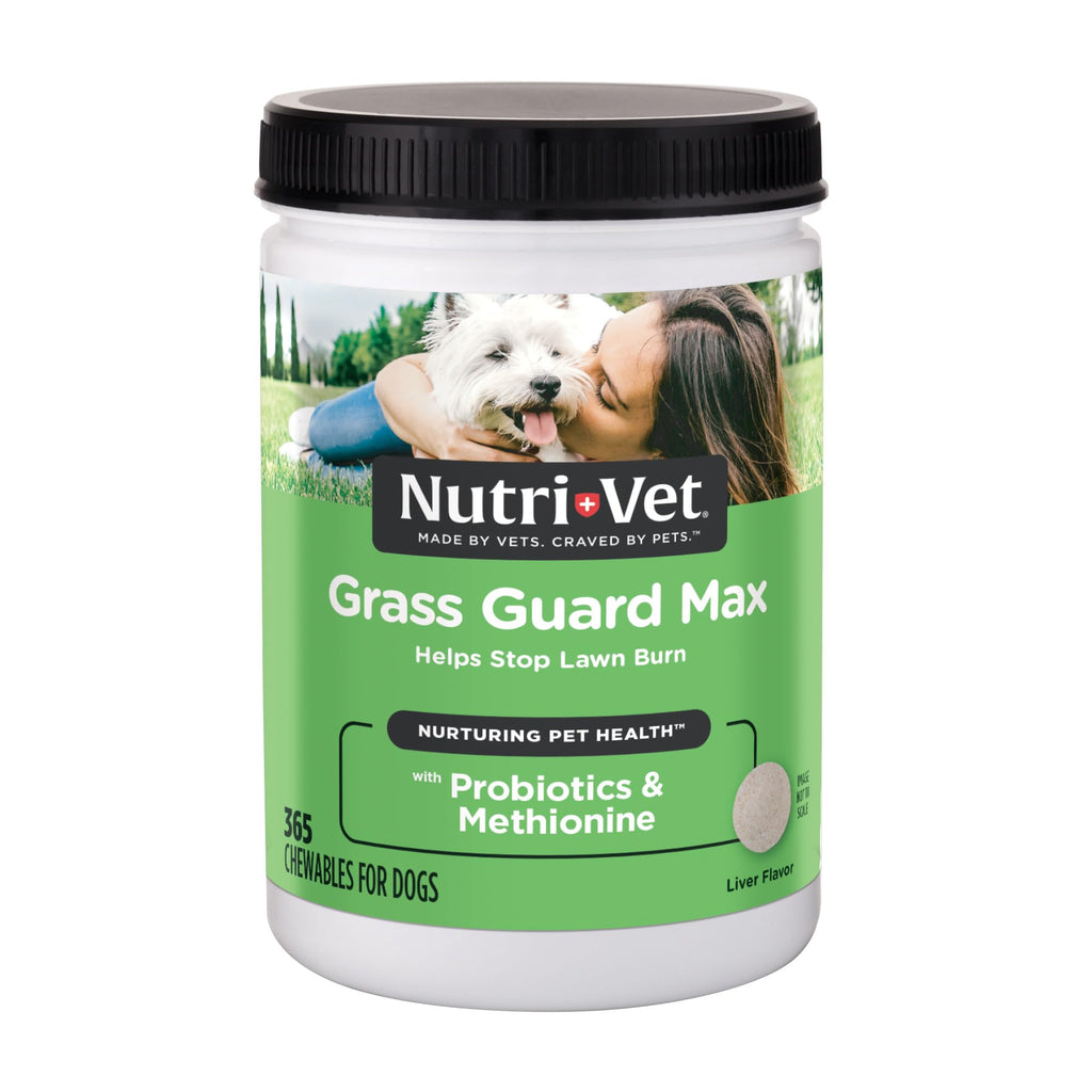 Dog Urine Support Chewables 365 Count R377