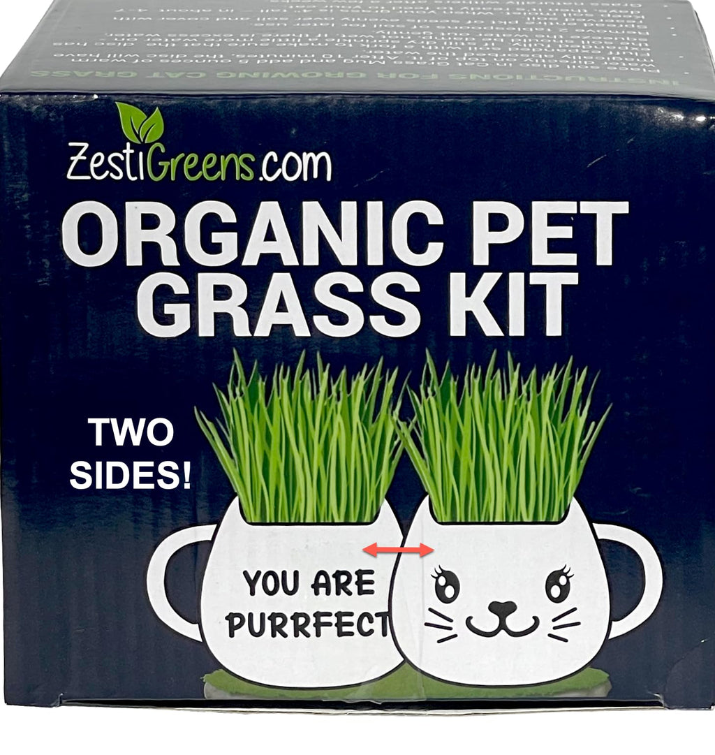 Cat Grass Growing Kit with Seeds, Soil & Ceramic Planter G152