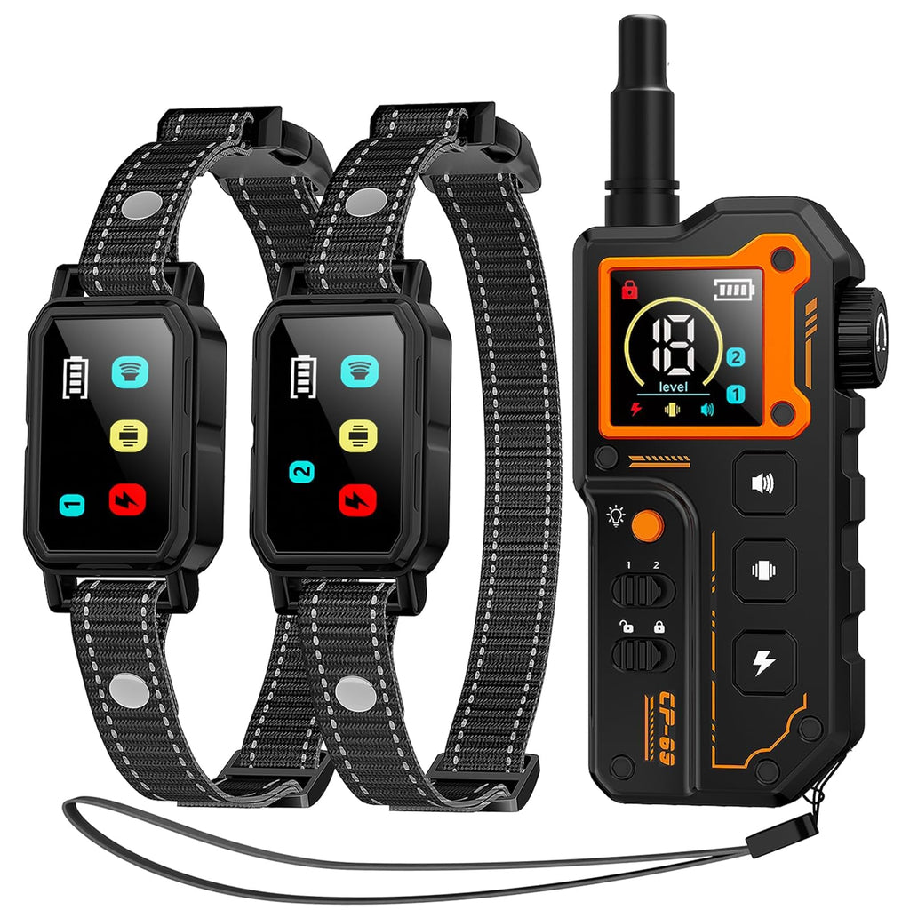 Dog Training Collar with Remote P708003