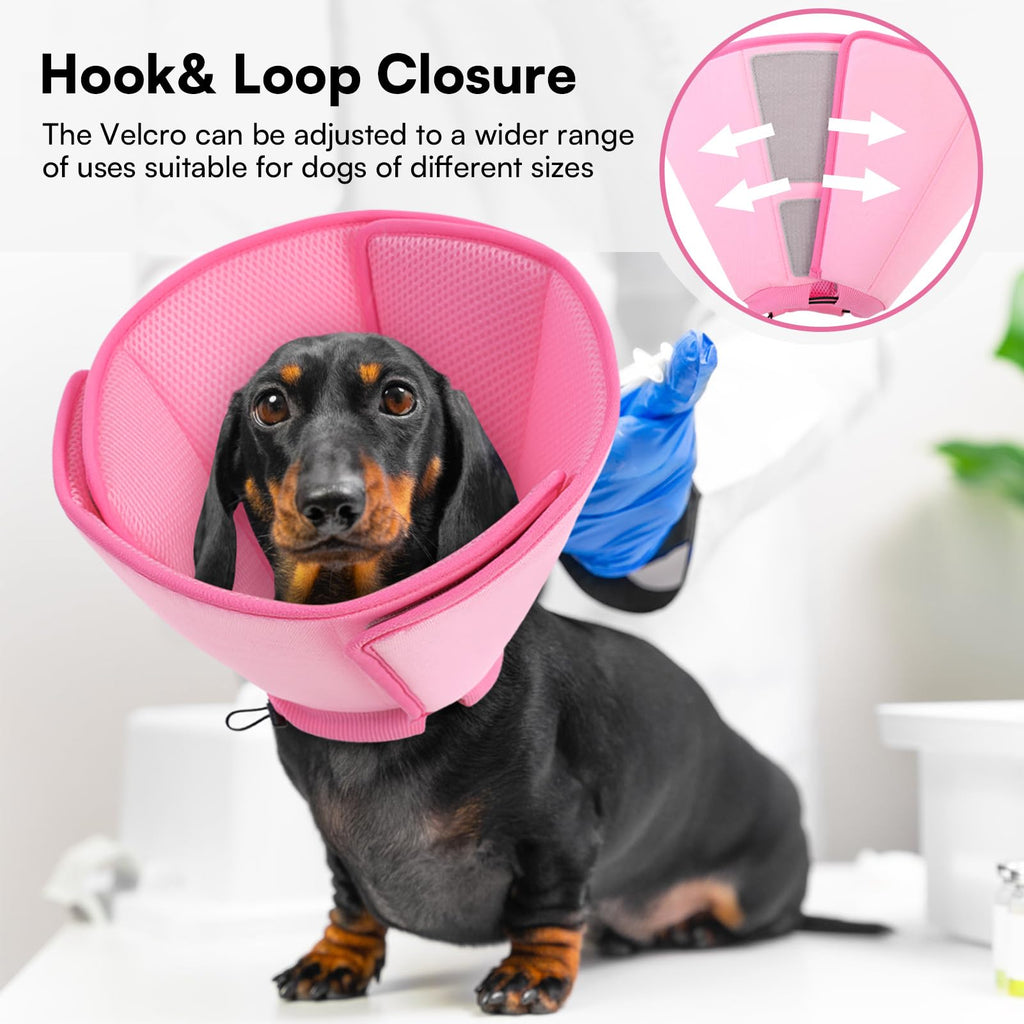 Soft Dog Cone Collar L453