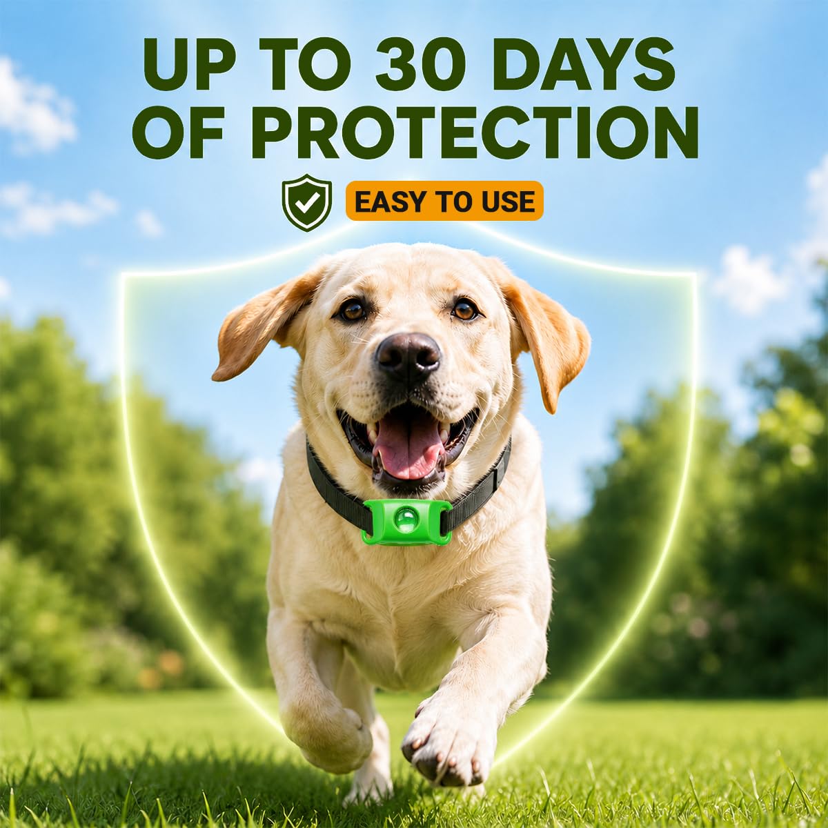 Flea and Tick Prevention Pendant for Dogs with 2 Pendants and 6 Refills I634262