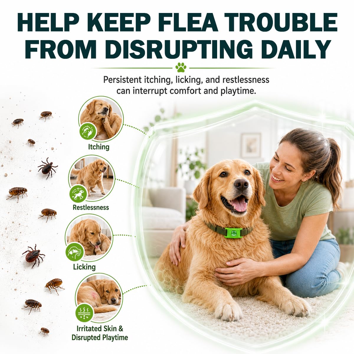 Flea and Tick Prevention Pendant for Dogs with 2 Pendants and 6 Refills I634262