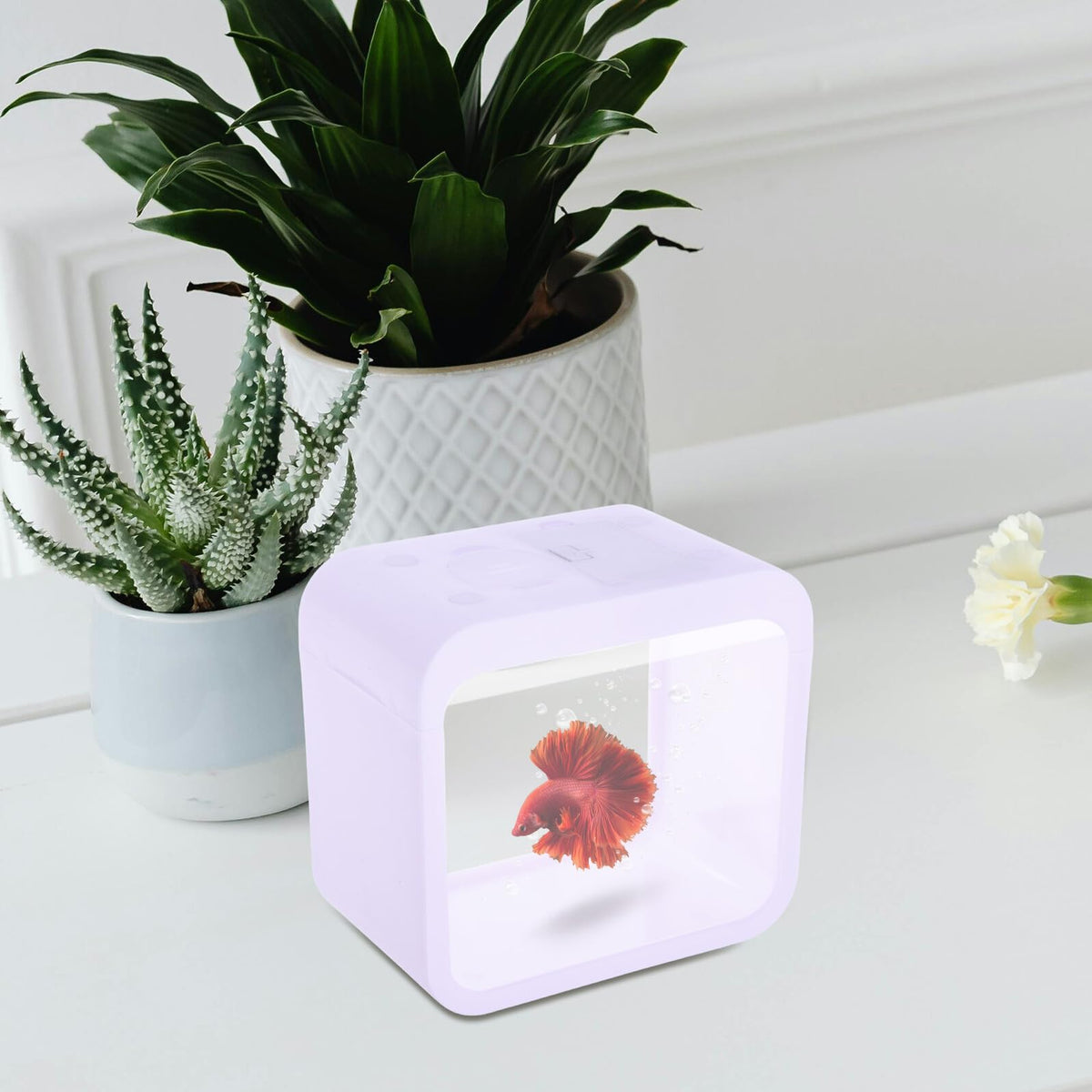Betta Fish Tank Desktop Aquarium with LED Light Y939