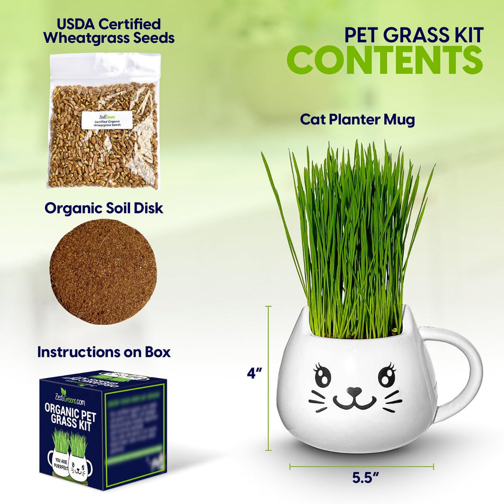 Cat Grass Growing Kit with Seeds, Soil & Ceramic Planter G152