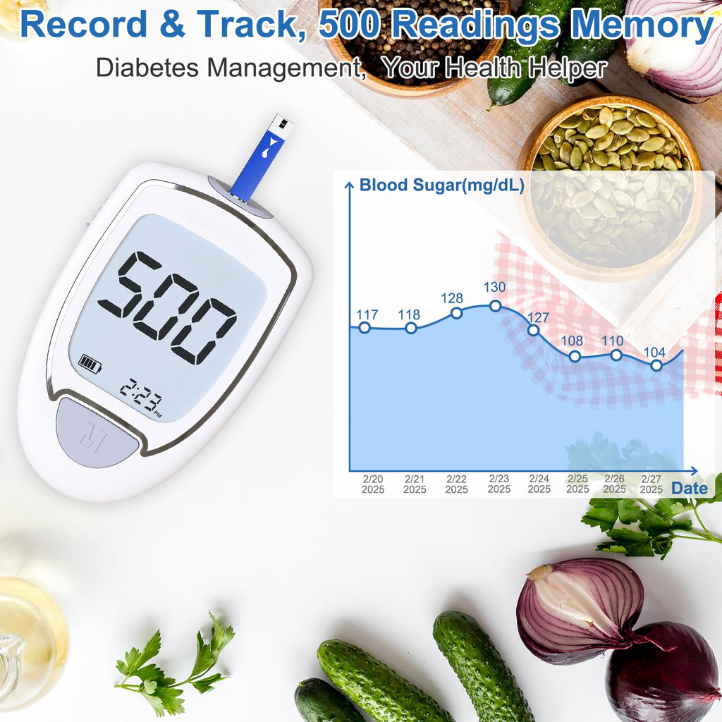 Blood Glucose Monitor Kit with 100 Strips and Lancets L842