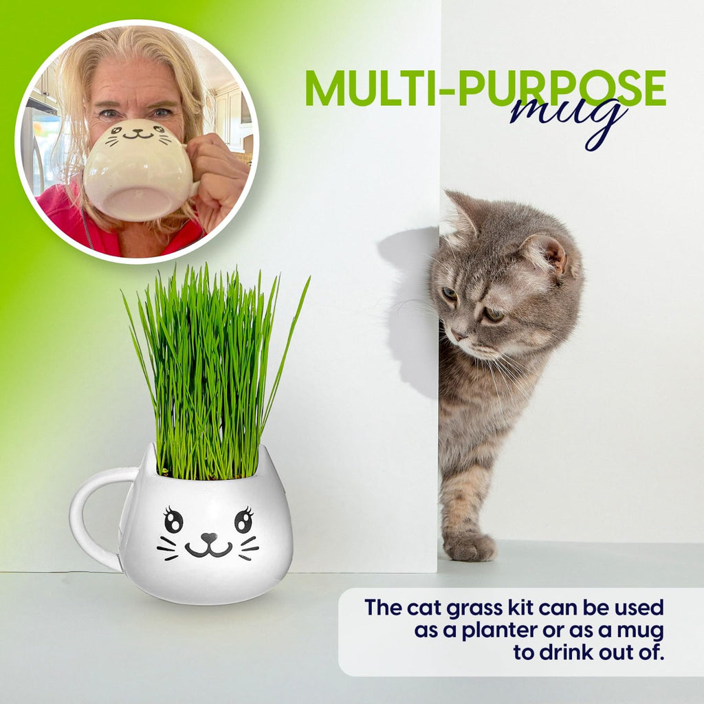 Cat Grass Growing Kit with Seeds, Soil & Ceramic Planter G152