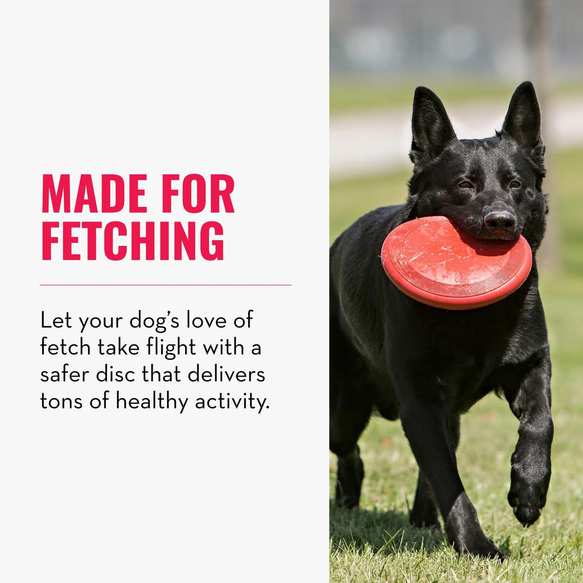 Natural Rubber Flying Disc Fetch Toy A700467