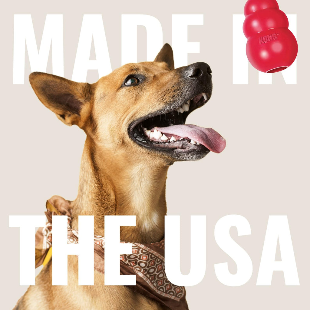Natural Rubber Flying Disc Fetch Toy A700467