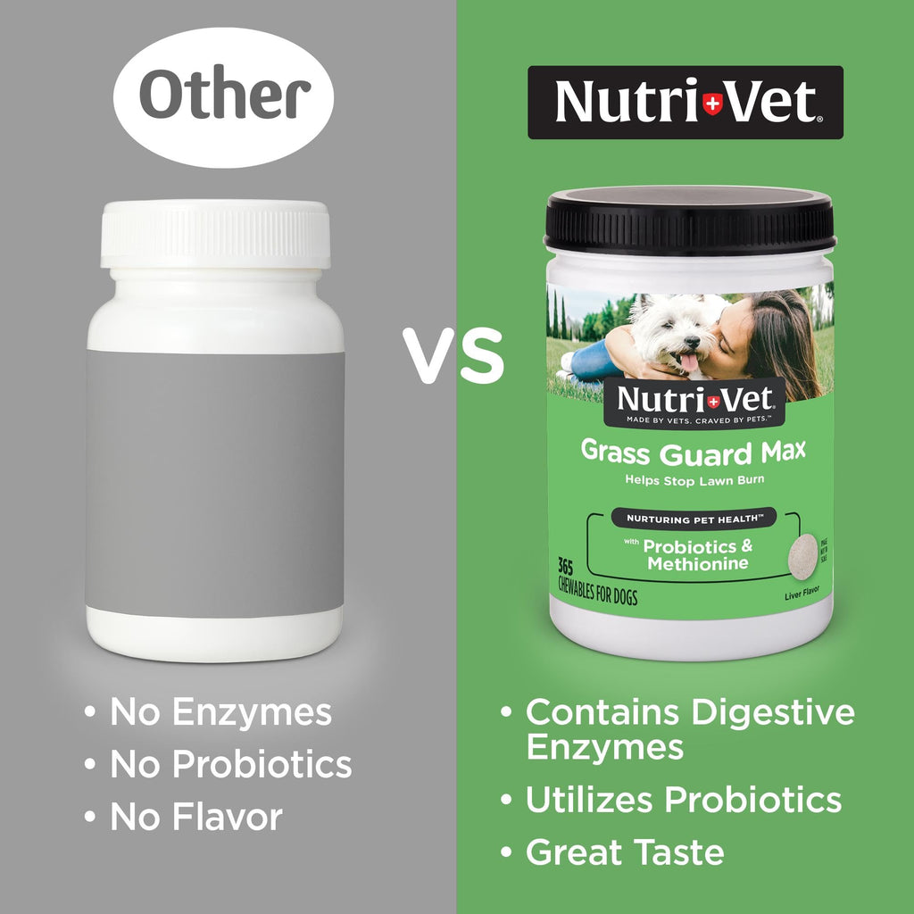 Dog Urine Support Chewables 365 Count R377