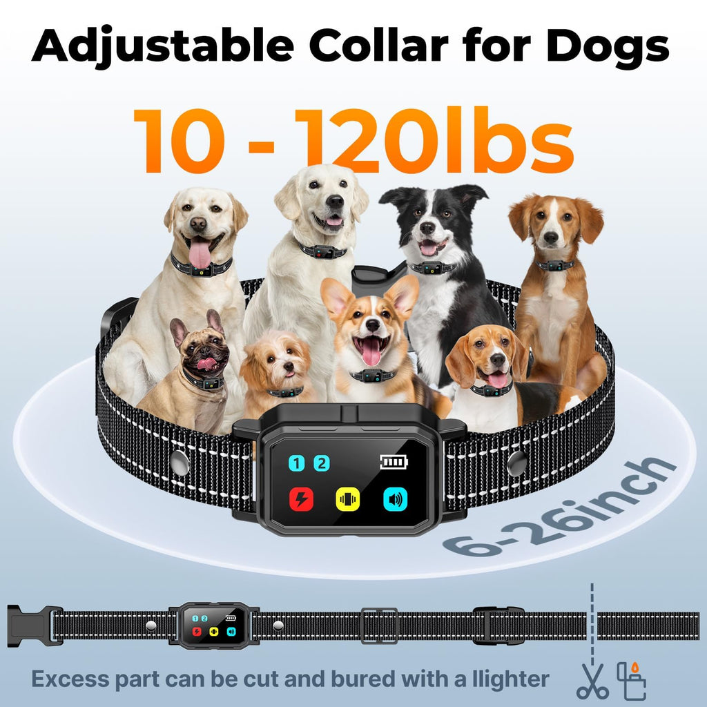 Dog Training Collar with Remote P708003