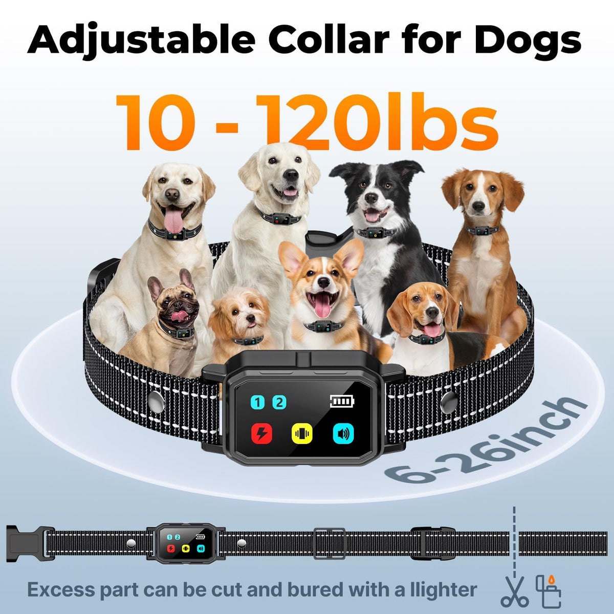 Dog Training Collar with Remote P708003