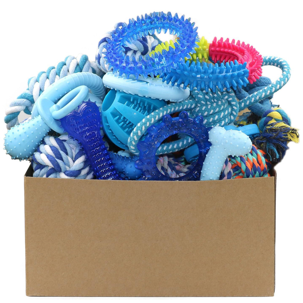 20 Pack Puppy Chew Toys A89218