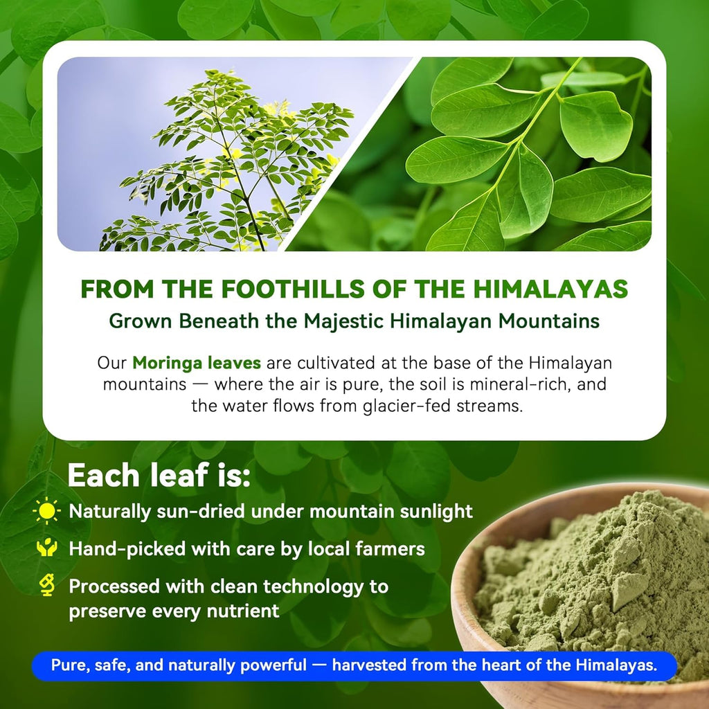 Moringa Capsules 1000mg 10:1 Leaf Extract 60 Veg Capsules B119663