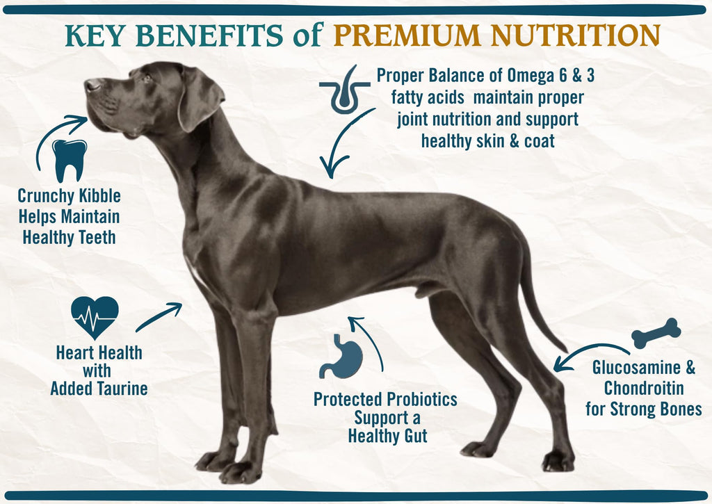 Large Breed Adult Dry Dog Food Chicken Brown Rice Turkey 28lb V1001