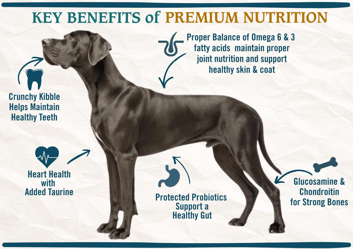 Large Breed Adult Dry Dog Food Chicken Brown Rice Turkey 28lb V1001