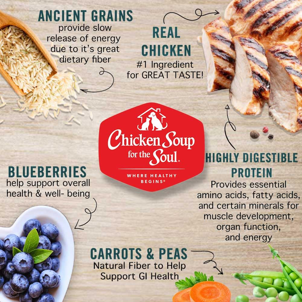 Large Breed Adult Dry Dog Food Chicken Brown Rice Turkey 28lb V1001