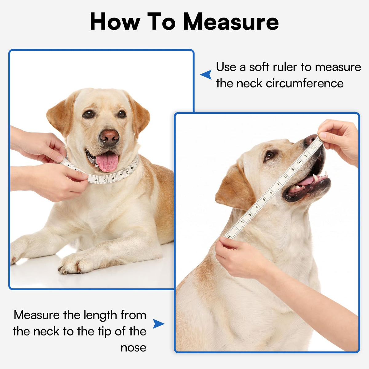 Soft Dog Cone Collar L453