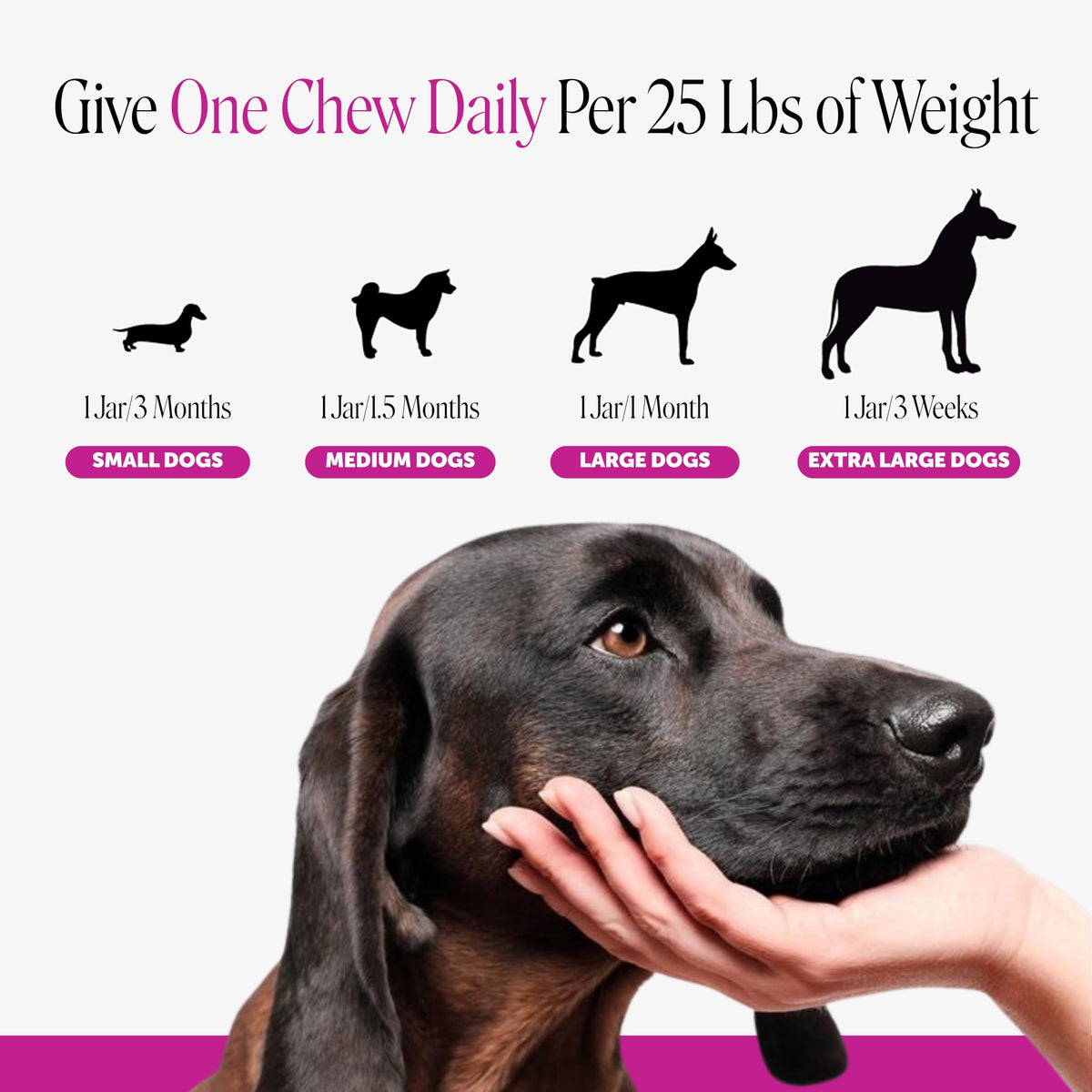 90 Ct Dog Multivitamin M1053