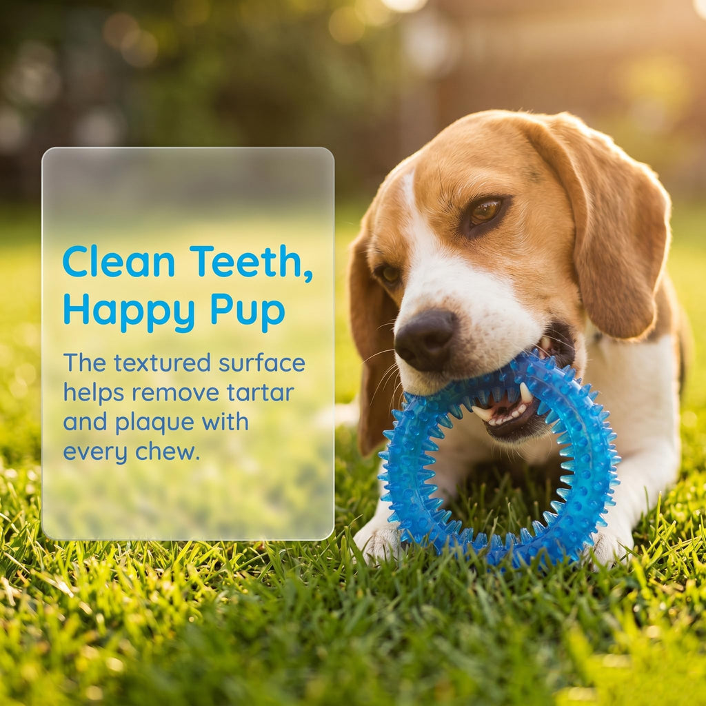 20 Pack Puppy Chew Toys A89218