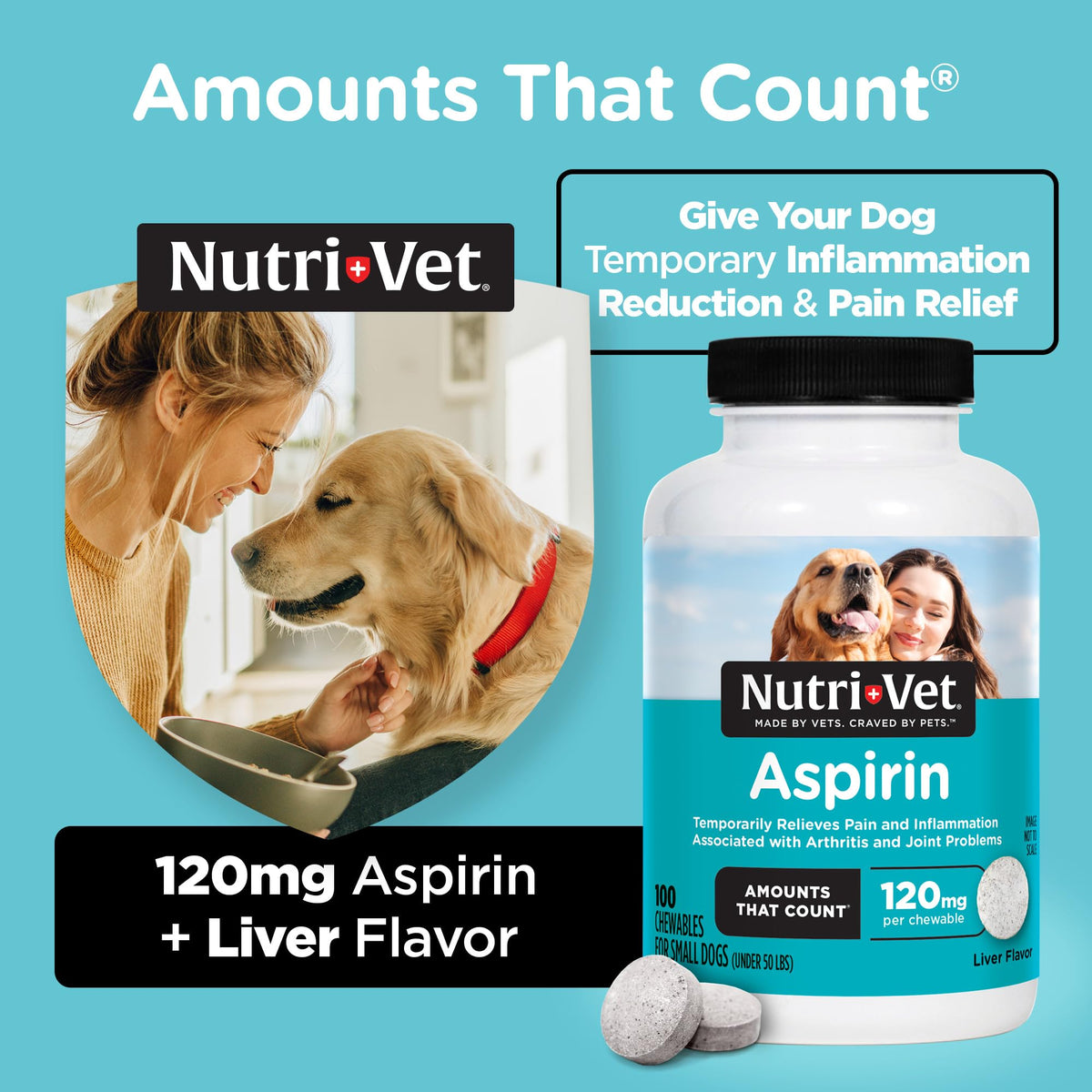 Dog Aspirin 120mg 100 Count N224