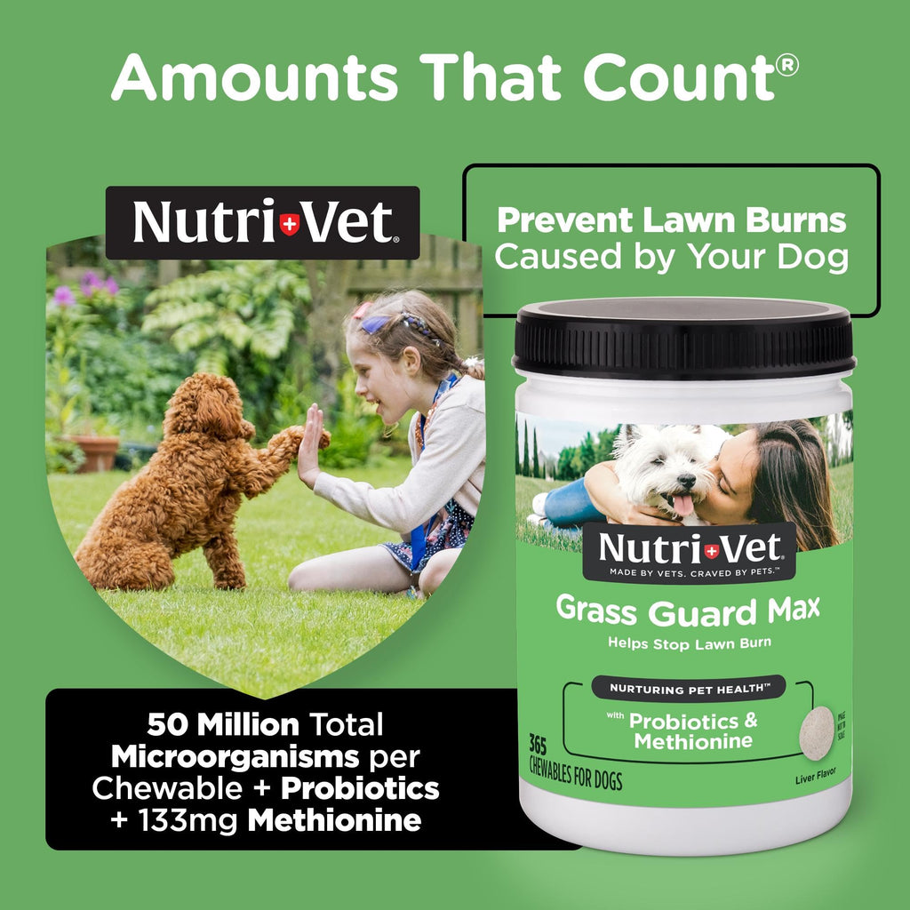 Dog Urine Support Chewables 365 Count R377