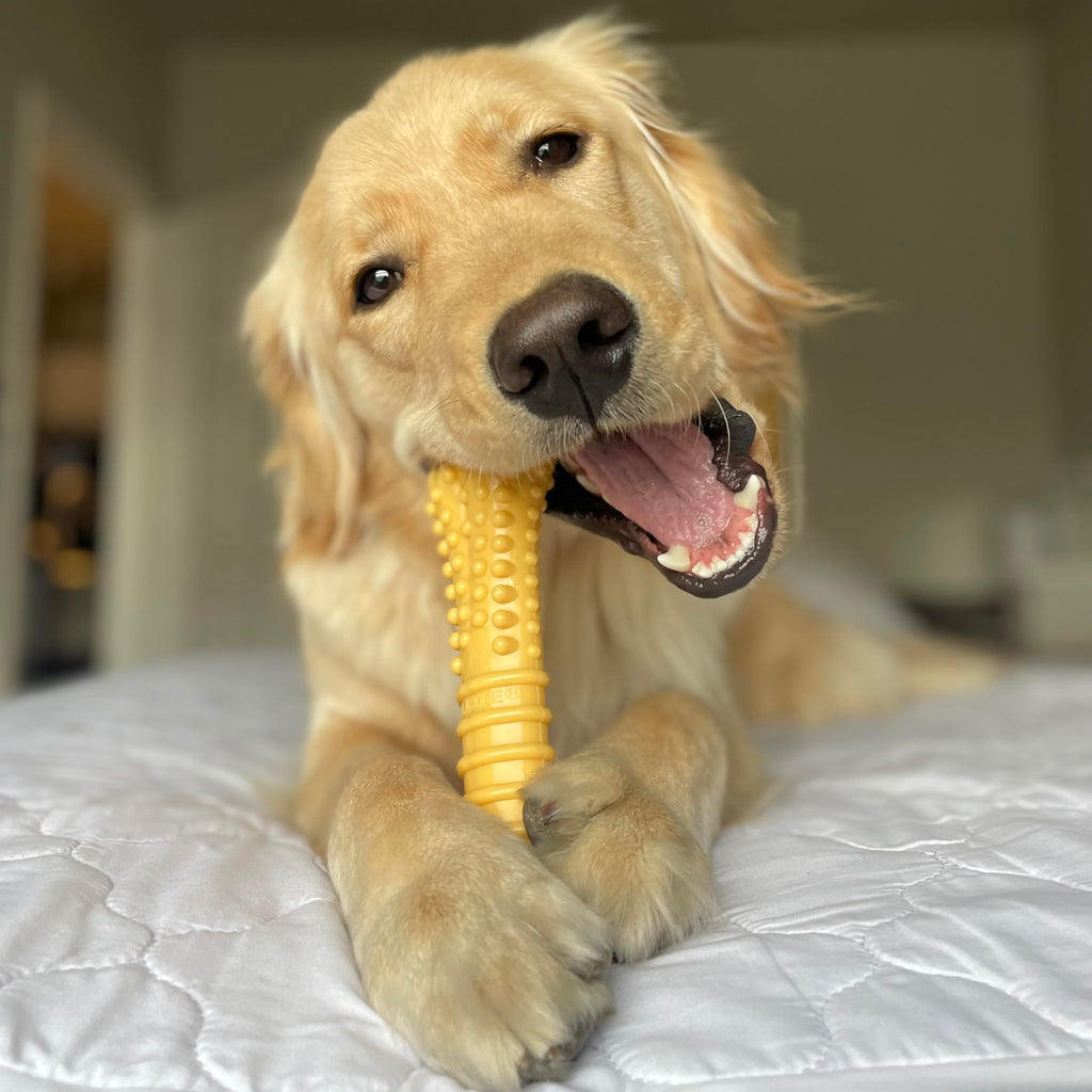 Dog Chew Toys, 3 Count, Large M736