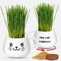 Cat Grass Growing Kit with Seeds, Soil & Ceramic Planter G152