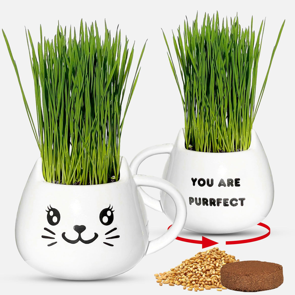 Cat Grass Growing Kit with Seeds, Soil & Ceramic Planter G152