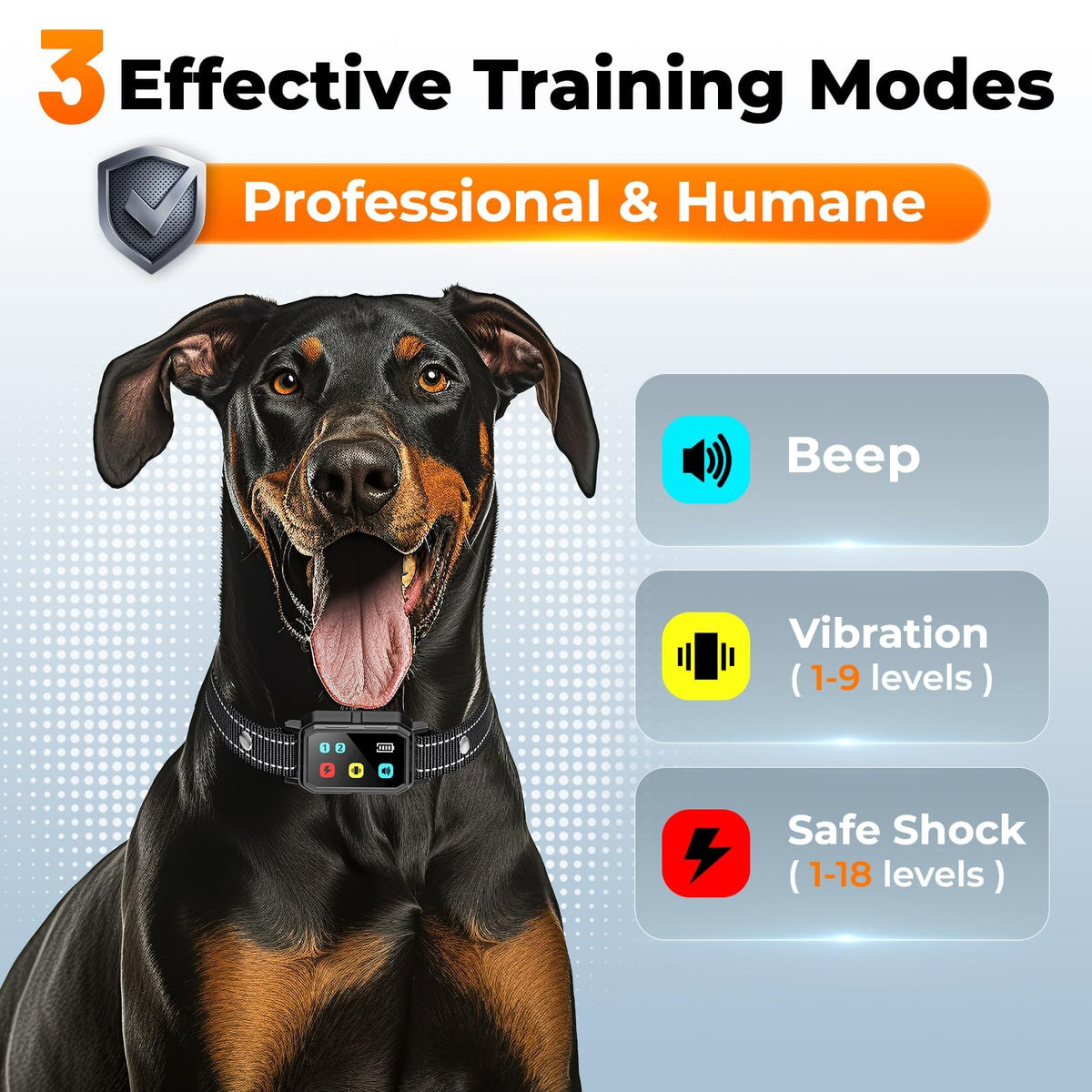 Dog Training Collar with Remote P708003