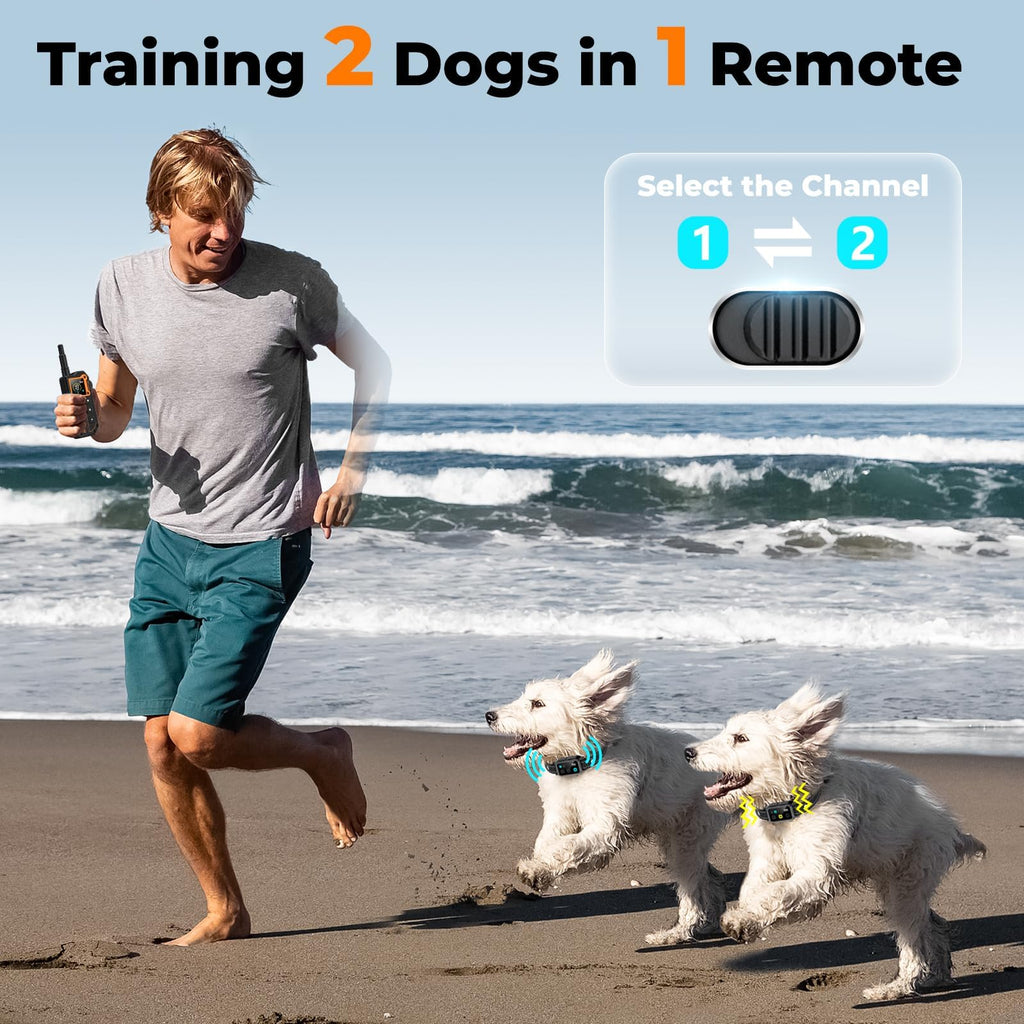 Dog Training Collar with Remote P708003