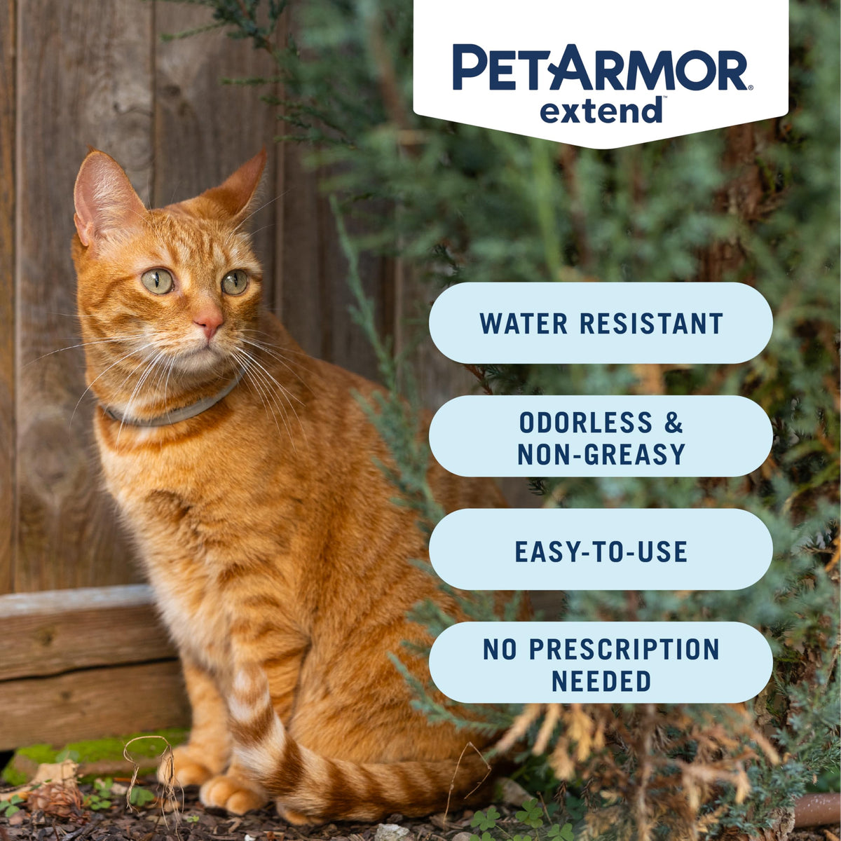 Flea & Tick Treatment & Prevention Collar for Cats P415
