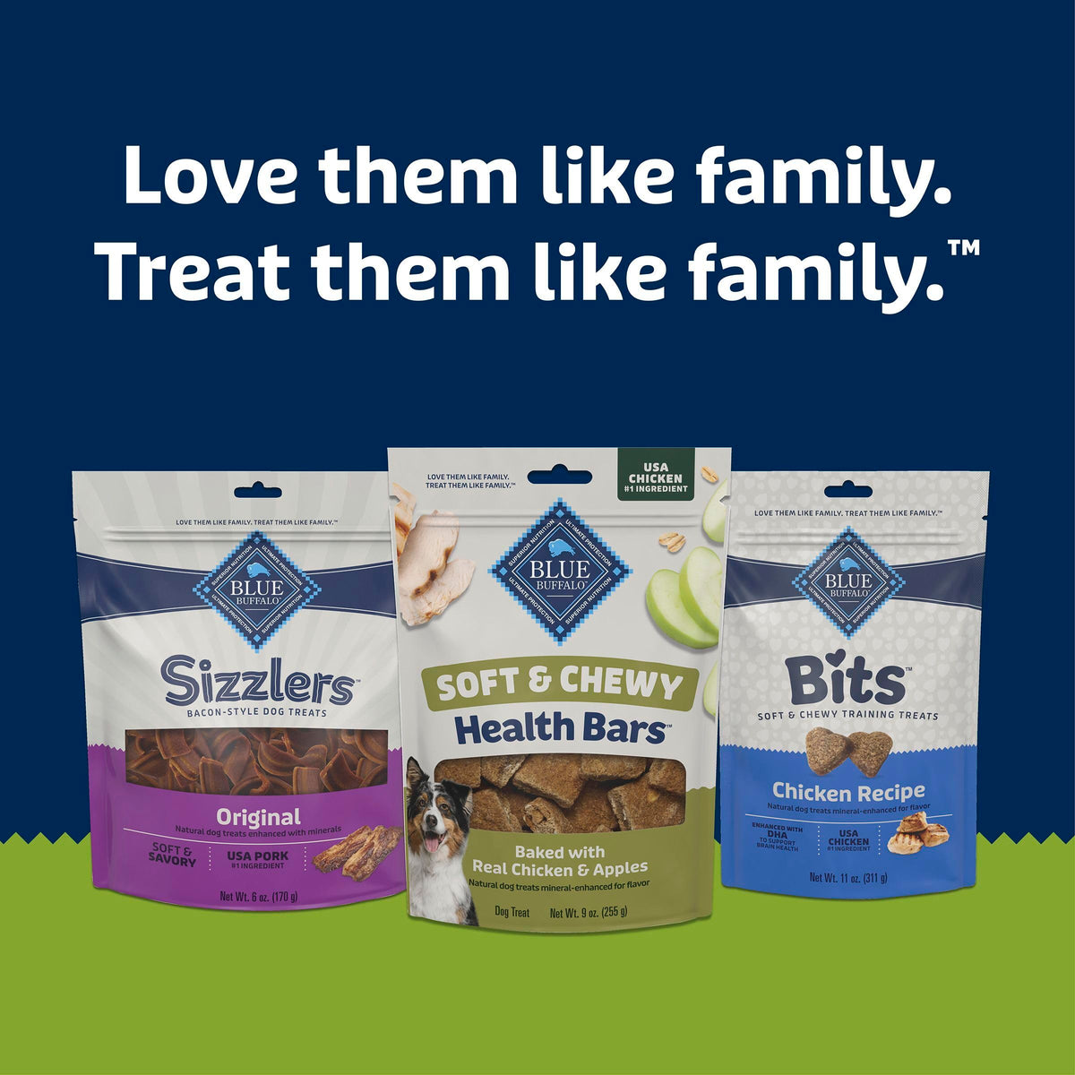 Chicken & Apples Soft & Chewy Treats, 9 oz Y38881