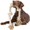 Dog Rope Toys for Aggressive Chewers V68939