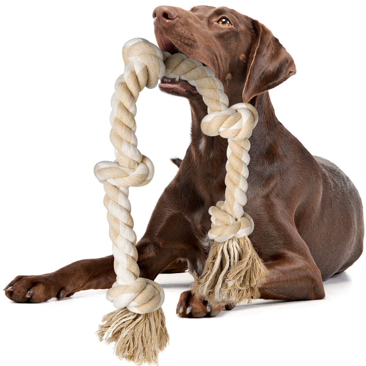 Dog Rope Toys for Aggressive Chewers V68939