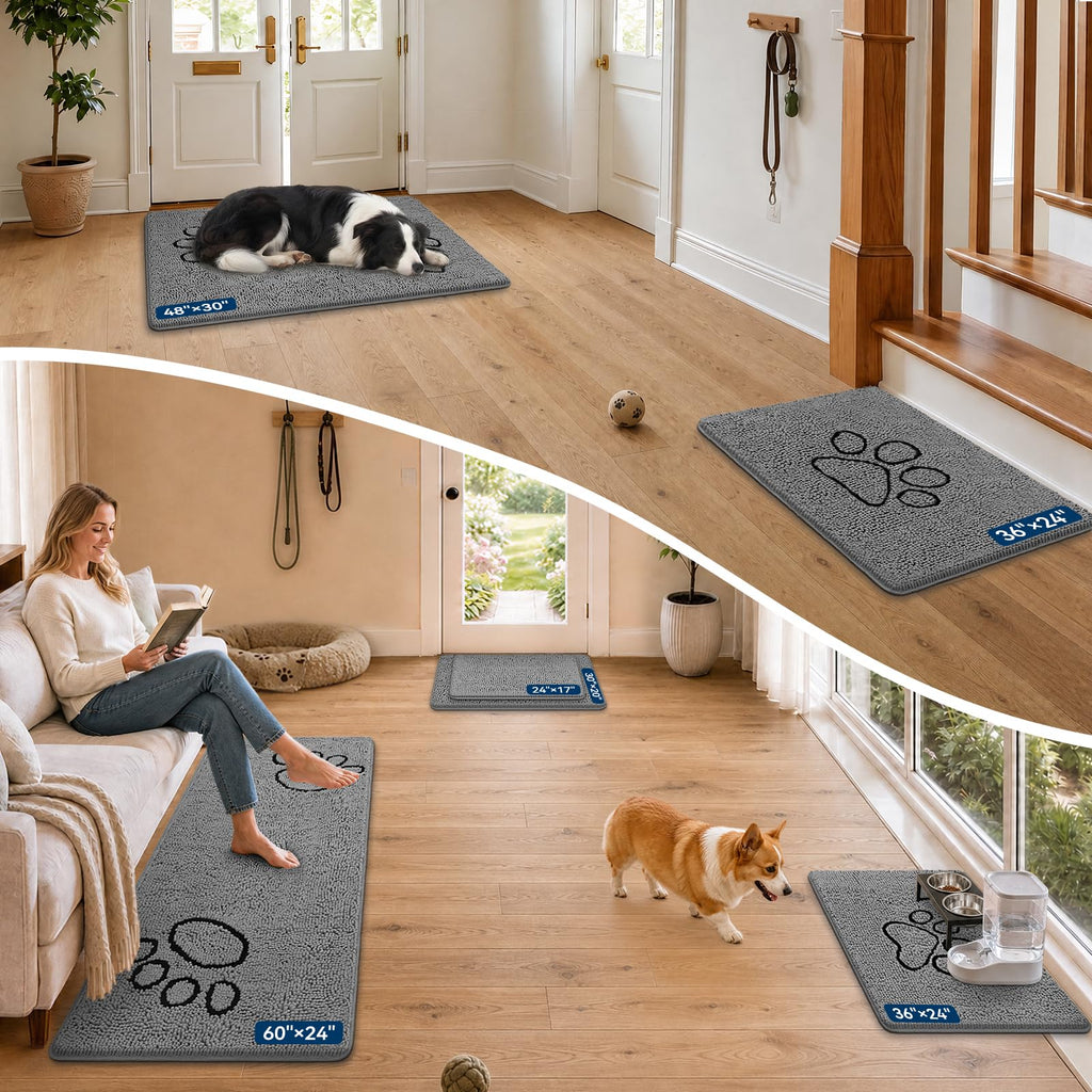 Chenille Doormats 30*20 N429