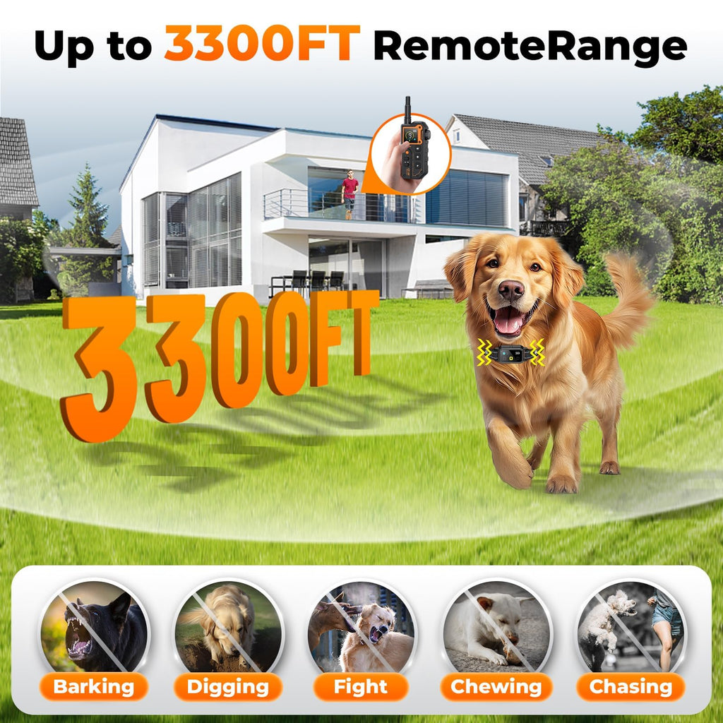 Dog Training Collar with Remote P708003