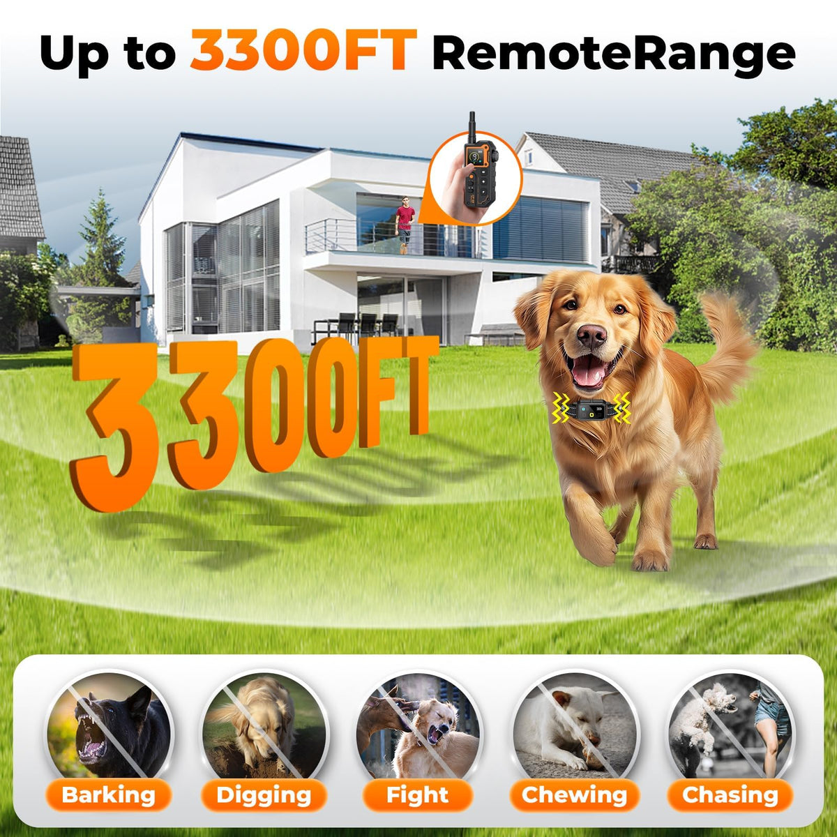 Dog Training Collar with Remote P708003