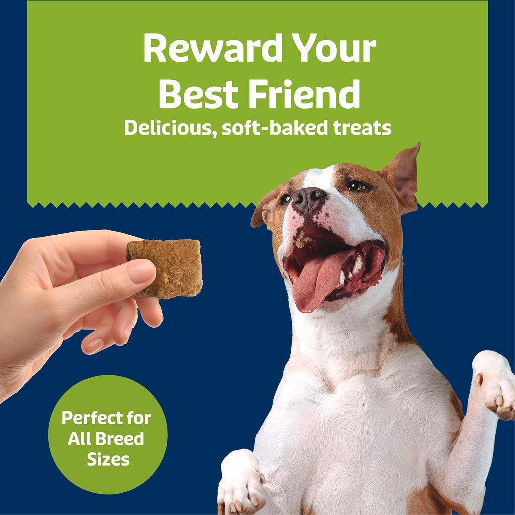 Chicken & Apples Soft & Chewy Treats, 9 oz Y38881