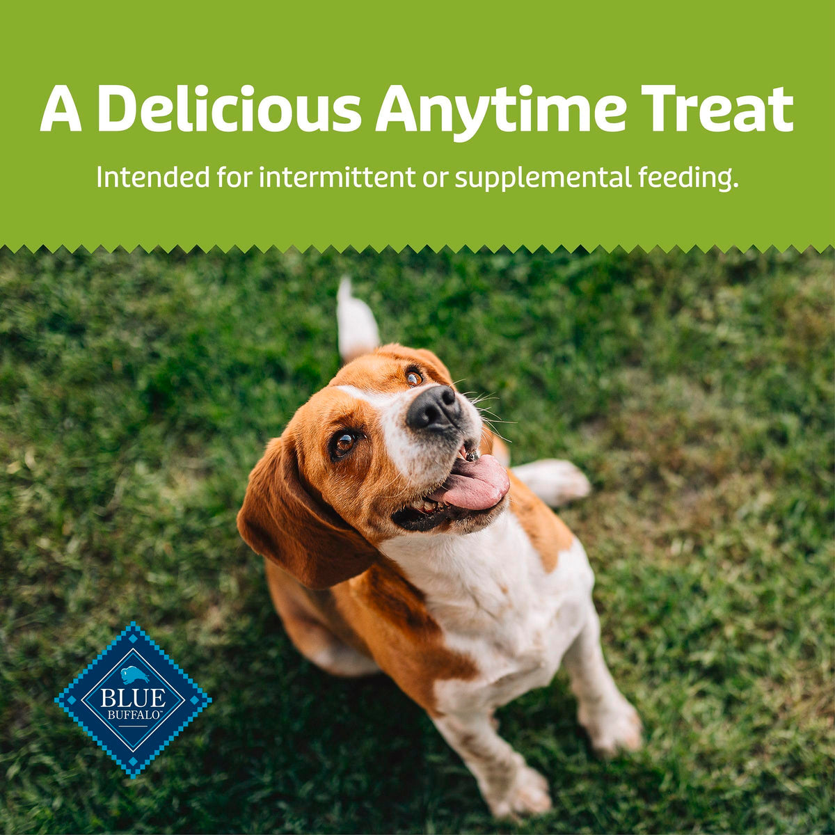 Chicken & Apples Soft & Chewy Treats, 9 oz Y38881