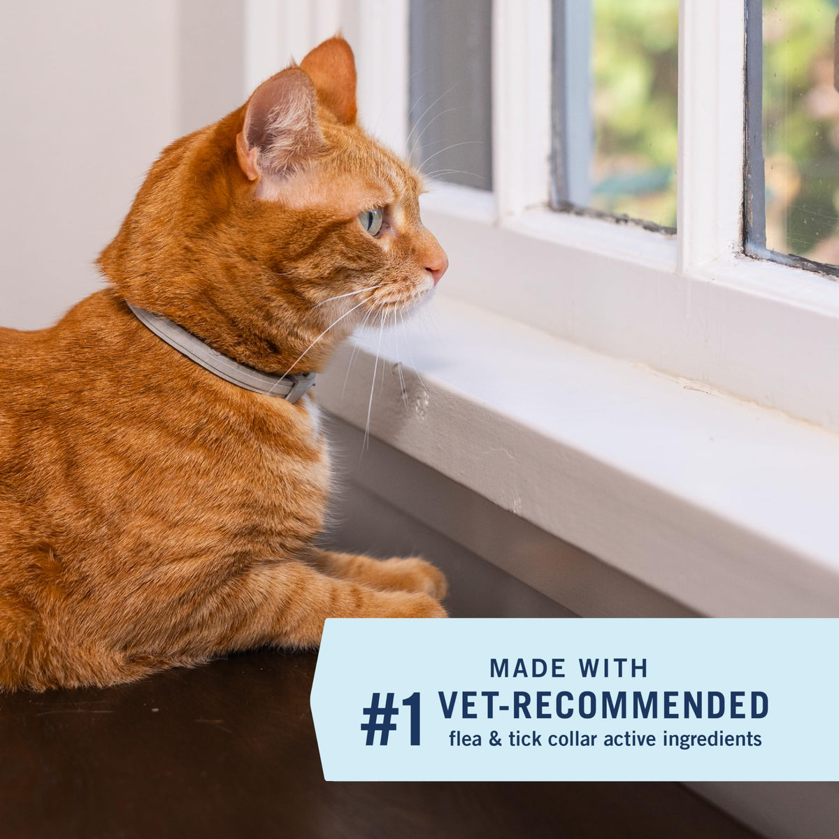 Flea & Tick Treatment & Prevention Collar for Cats P415